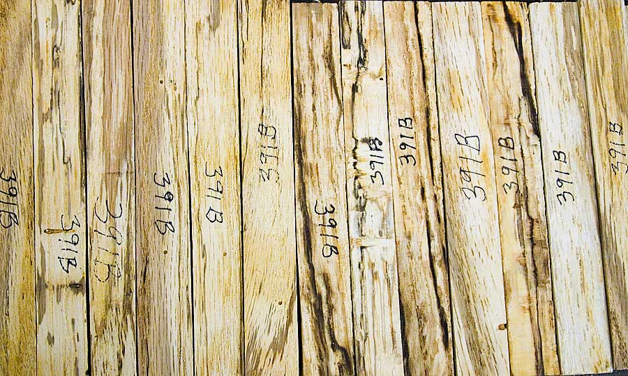 Willow Oak blanks